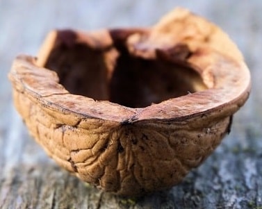 how solar panels work